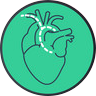 Cardiac Catheterization | Angina Awareness India